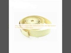 Garniture Tape Conveyor Belt 3100*21mm Solusi Utama untuk Transportasi Bahan